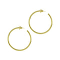 Vandome Earrings